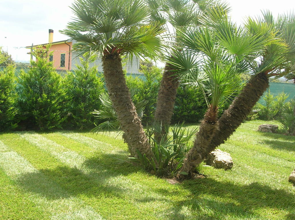 B&B S'Ena Suni Bagian luar foto