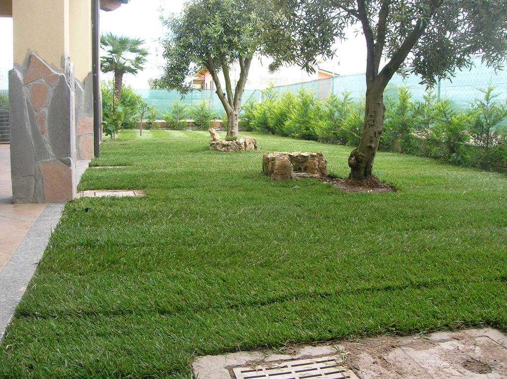 B&B S'Ena Suni Bagian luar foto